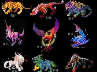 龙的后代