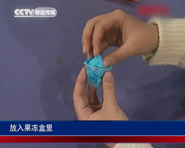 色彩缤纷的毛毛虫