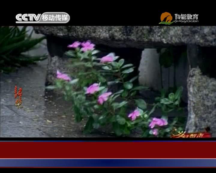 七子之歌 (1)